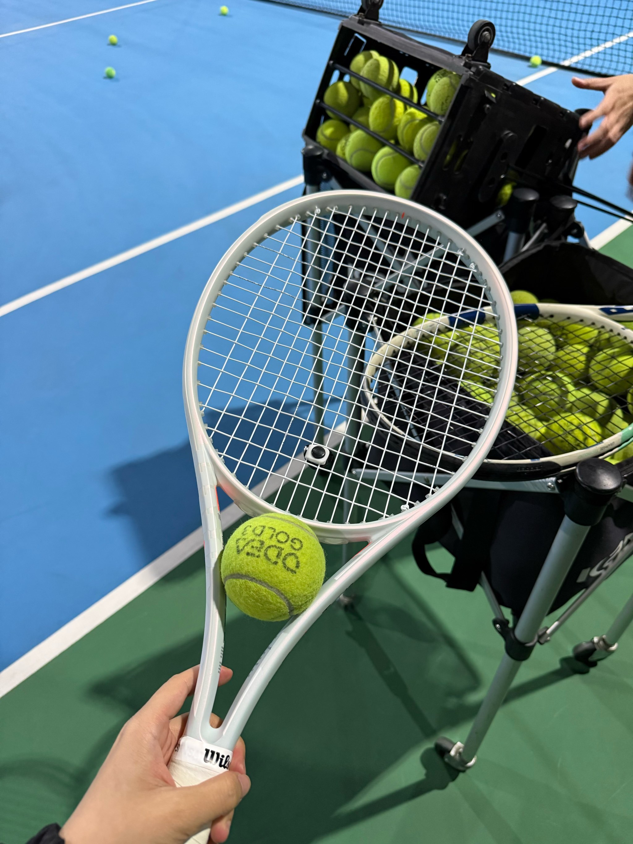 球迷热情掌 球迷热情掌