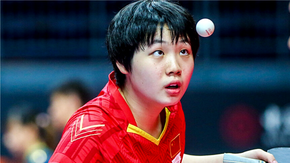 的芝加哥公 的芝加哥公