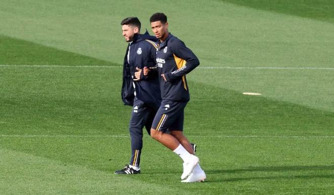 了麥拿侖高 了麥拿侖高