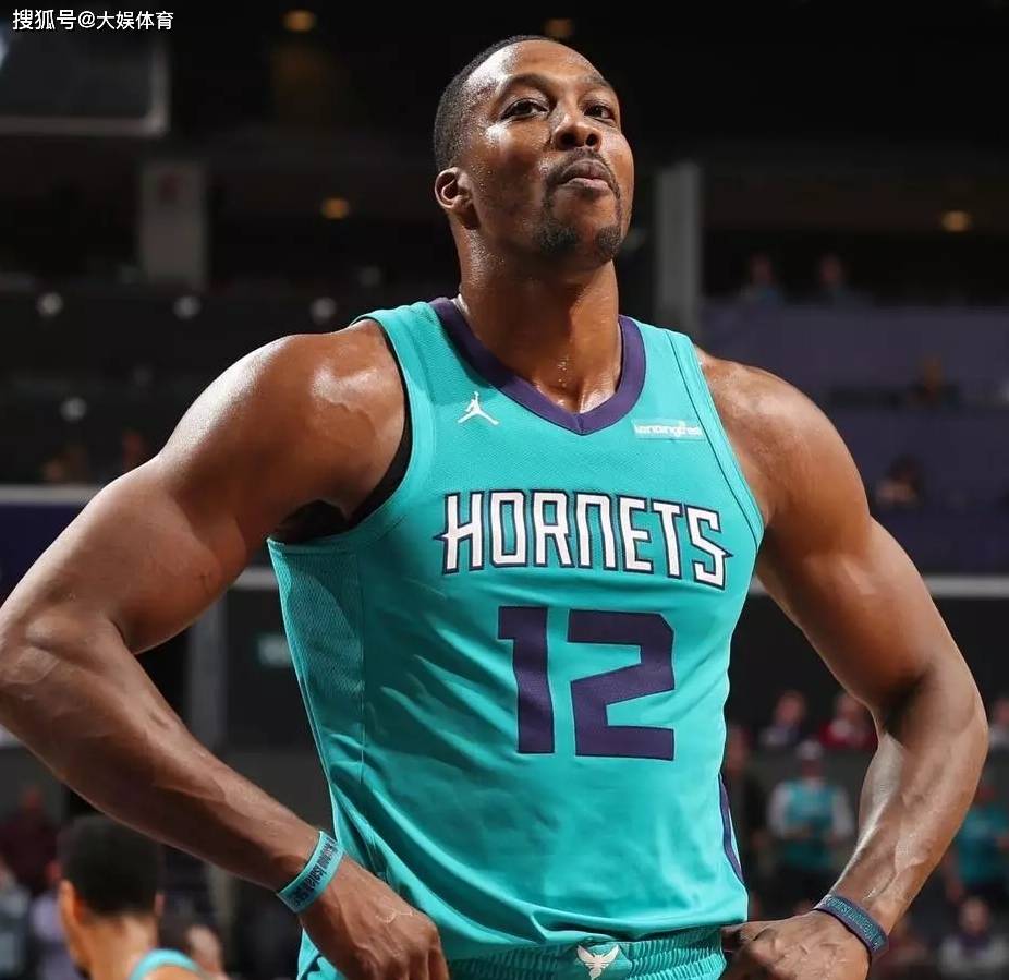 训练动态 训练动态